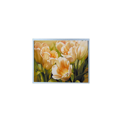 良い値段 9.0インチ 1024*600 AM-1024600Y2TZQW-A0H TFT 1200 cd/m2 LCD画面 パネル オンライン