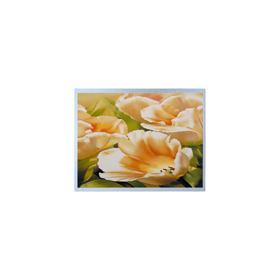 良い値段 1024*600 AM-1024600Y3TZQW-A1H 9.0インチ TFT 300 cd/m2 LCD画面部品 オンライン