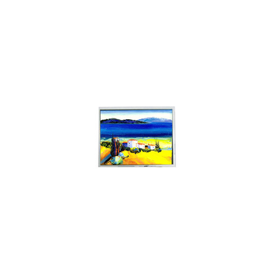良い値段 熱売 5.4インチ DMF50773NF-FW 240*128 22ピンLCD画面 オンライン