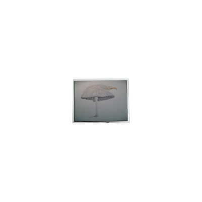 良い値段 9.4インチ DMF-51043NFU-FW 640*480 LCD画面 パネル オンライン