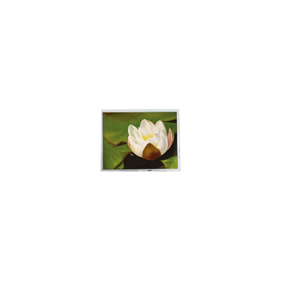 良い値段 7.0インチ 800*480 ET0700A7DMU 262K 450 cd/m2 LCD画面部品 オンライン
