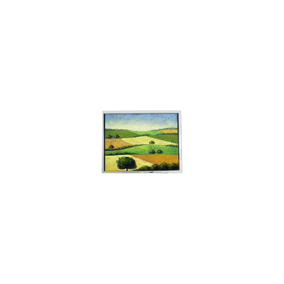 良い値段 オリジナル 480*272 ET043001DM6 4.3インチ LCD パネル lcdディスプレイ オンライン
