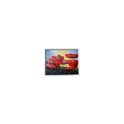 良い値段 5.7インチ 320*240 EW50352BCW LCD パネル LCDモニター オンライン