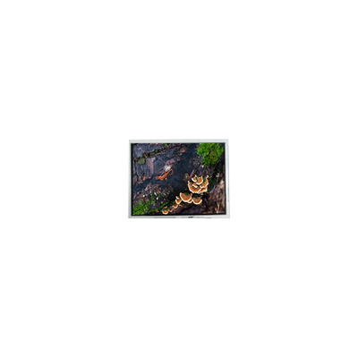 良い値段 新しい3.0インチ30WQF0H 240*400 5S1P WLED LCDスクリーンモジュール オンライン