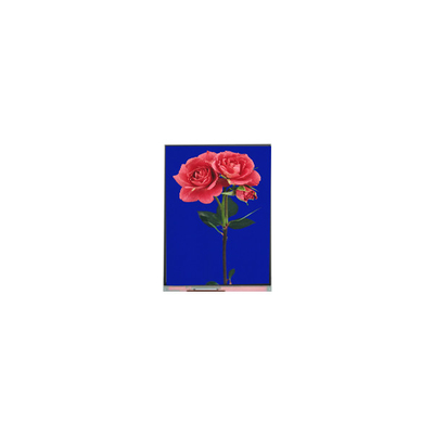 良い値段 800*1280 C080SWW3-1 8.0インチ TFT LCD ディスプレイ FOR パッド オンライン