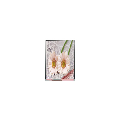 良い値段 C084GNS1-1 800*600 8.4インチ TFT LCD ディスプレイ オンライン
