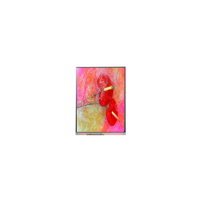 良い値段 オリジナル9.0インチ800*480 C090NWP1 R1 16.7M TFT LCD パネル画面 オンライン