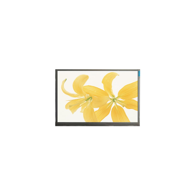 良い値段 10.4インチ LPM104GNX1 R1 TFT LVDS 262K LCD パネルモニター オンライン