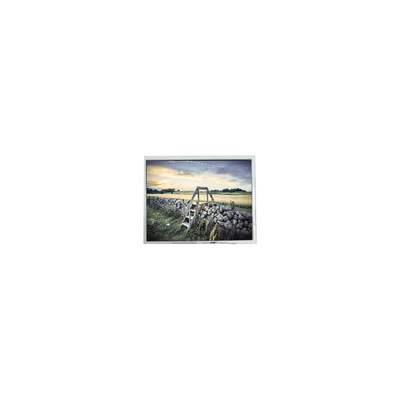 良い値段 5.6インチ FG050600ANCWAG02 320*234 ポータブルDVDプレーヤーのLCD画面 オンライン