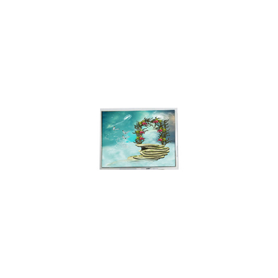 良い値段 TFT1N5918 6.9インチ 800*480 LVDS LCD画面モニター オンライン
