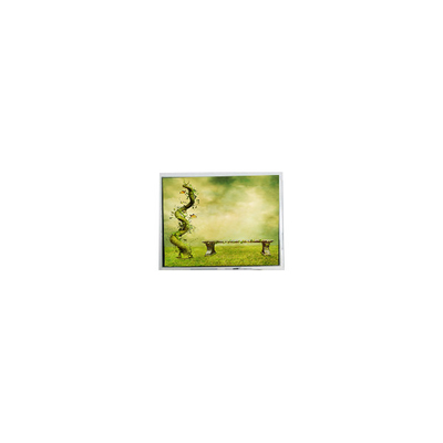 良い値段 オリジナル 7.0インチ TFT7D0179 600*1024 16.7M LCD画面 lcdディスプレイ オンライン