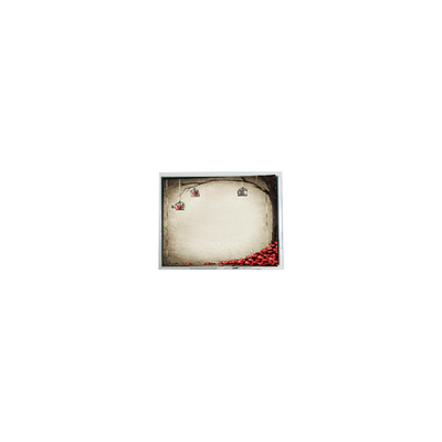 良い値段 TFT9D6672 6.9インチ 800*480 600:1 LCDスクリーンモジュール部品 オンライン