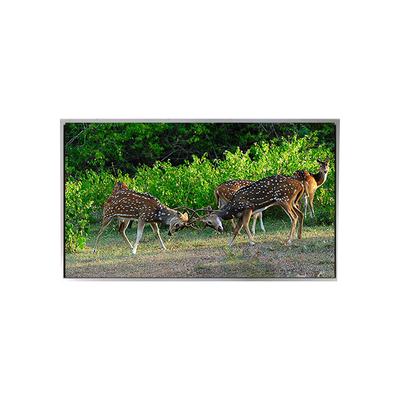 良い値段 ホットセール 21.3インチ 1200*1600 P213UXF1MA10 LVDS lcdモニター オンライン