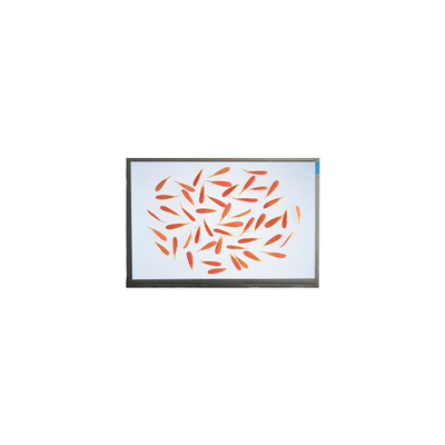 良い値段 新しい6.9インチM069AWA1 R0 1280*720 LCD画面 lcdパネル オンライン