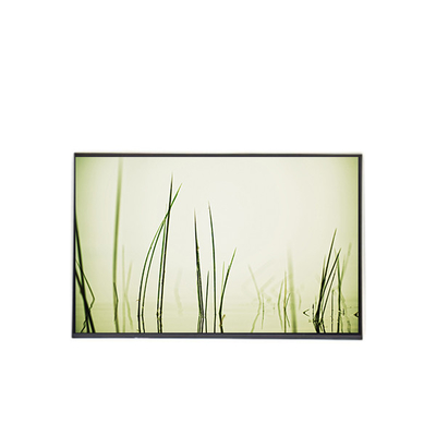 良い値段 B160ZAN01.R lcd ラップトップの画面パネル 16.0インチ 交換 オンライン