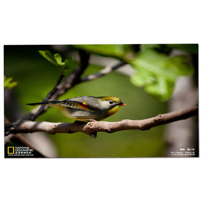 良い値段 24.0インチ 1920*1200 M240UAN02.1 セル液晶ディスプレイ オンライン