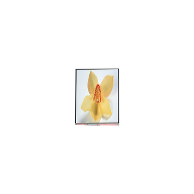 良い値段 C050SWAN-0 5.0インチ 720*1280 LCD画面 パネル オンライン