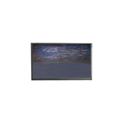 良い値段 U055SWRA-1 5.5インチLCDスクリーンパネル 720*1440LCDディスプレイモジュール オンライン