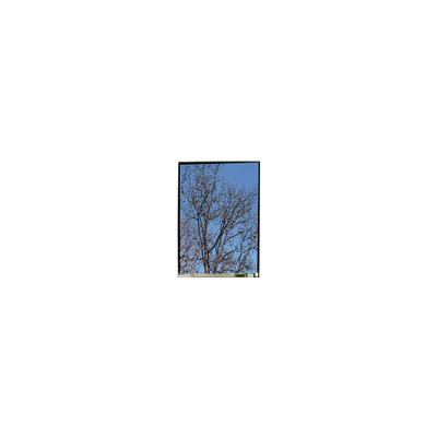 良い値段 5.5インチ LS055T1SX29 1080*1920 FHD LCDディスプレイ パネル オンライン
