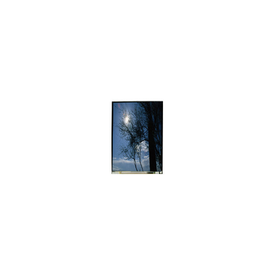 良い値段 LS055T1SX09 5.5インチ 1080*1920 TFT-LCD LCDスクリーン オンライン