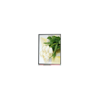 良い値段 5.5インチ C055SWY2 R0 LCD画面 パネル オンライン