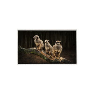 良い値段 HR236WU1-310 23.6インチ 1920*1080 LCDスクリーン TFT LCDパネル オンライン