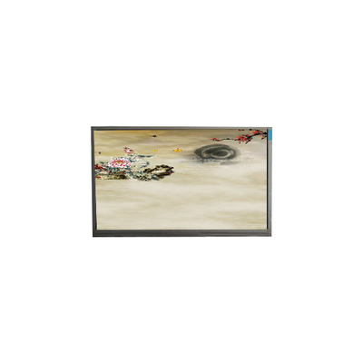 良い値段 P236MWF2 R0 23.6インチ 1920*1080 TFT-LCDディスプレイ オンライン