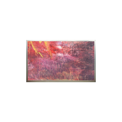 良い値段 オリジナル 22.0 インチ 1680*1050 解像度 LCD スクリーン M220Z1-PS3 オンライン