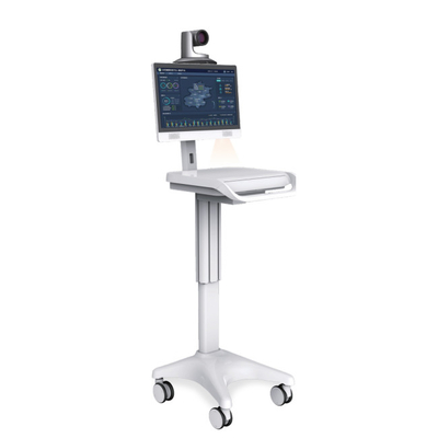単一のScreen Medical Mobile Workstation Class I 1920x1080 iPS