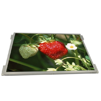 良い値段 G104XVN01.0 1024x768 IPS Industrial 10.4のInch LCD表示 オンライン